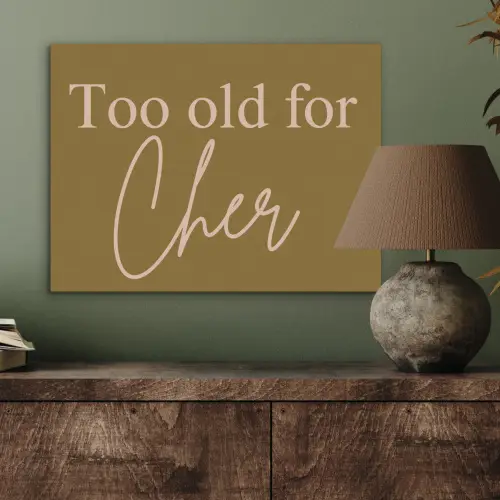 Groen - Too old for cher - Roze PET vilt klein -sfeer2