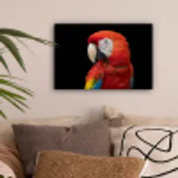 Ara - Portret - Rood canvas 2cm klein -sfeer1