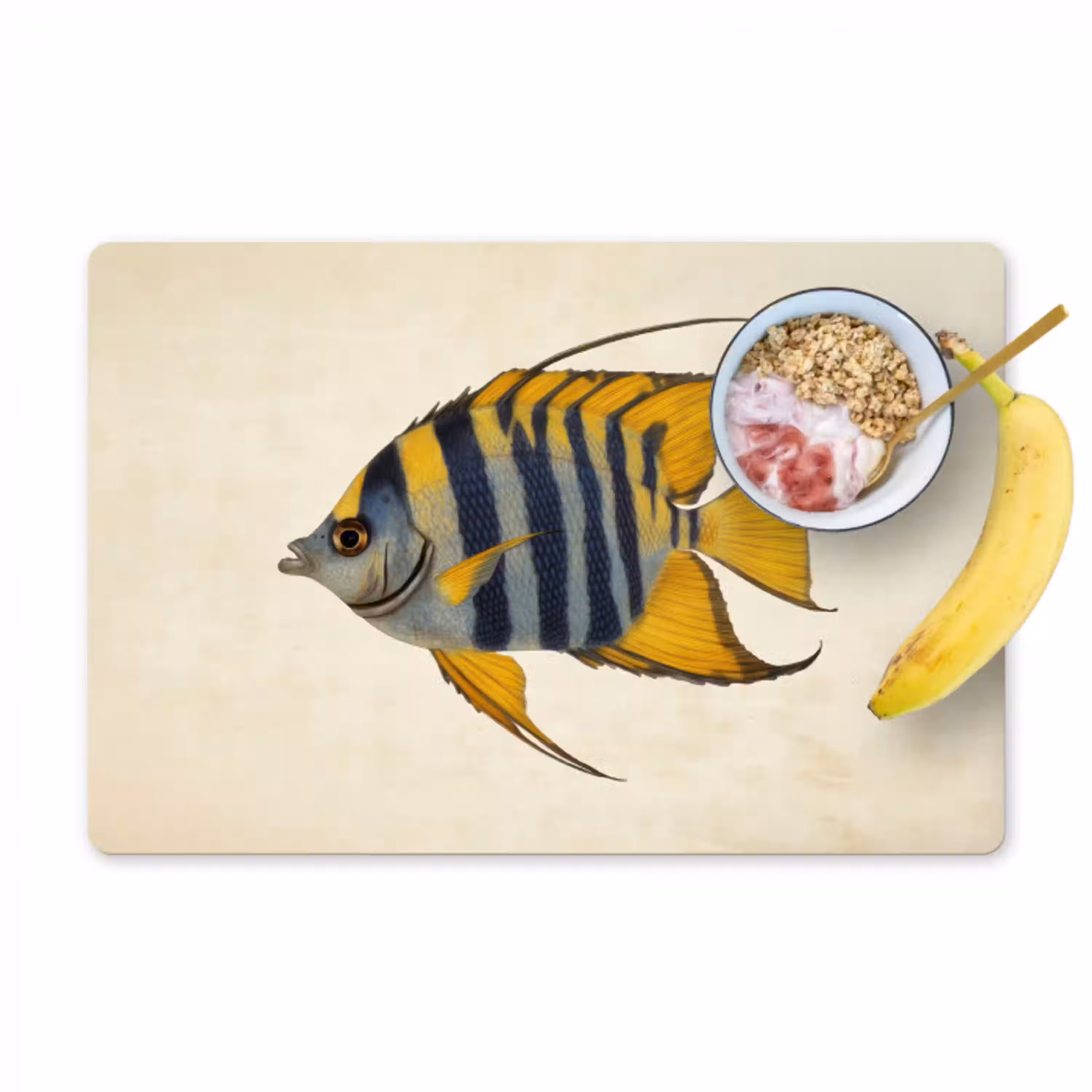 Vis - Sierlijk - Vinnen - Illustratie Placemat vinyl groot -zzzproduct_Kitchenyeah-website