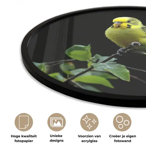 Parkiet - Tak - Bladeren - Geel Fotolijst rond zonder passe partout klein -closeup_NL