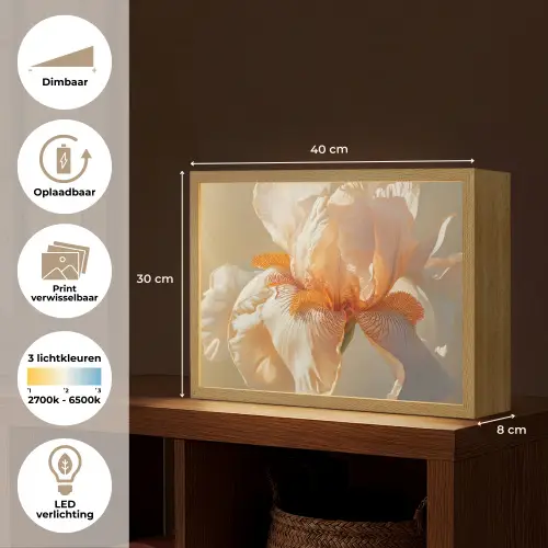 Close up - Oranje - Iris Light Box met batterij (Wandlamp) middel -USP_websiteoverzichtNL