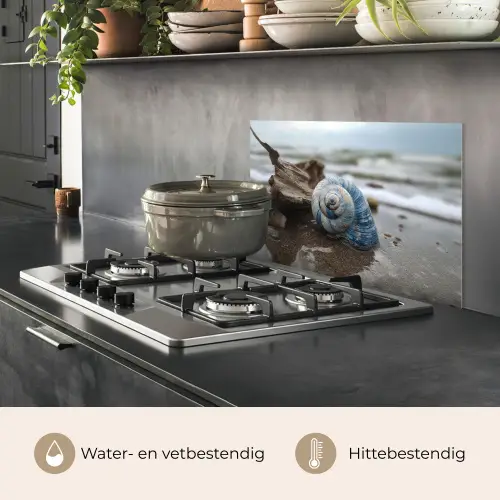 Schelp - Strand - Blauw - Zee keuken achterwand spatscherm klein -usp_NL