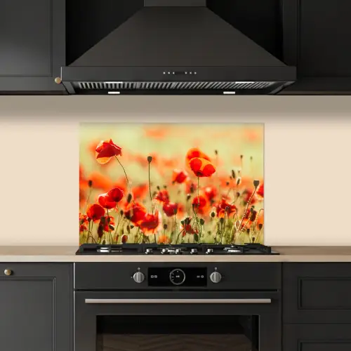 Klaprozen - Bloemen - Rood - Bloemenveld keuken achterwand spatscherm klein -sfeer1