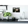 Gezicht - Vrouw - Zwart - Abstract Muursticker klein -keuken