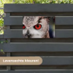 Vogel - Uil - Oehoe tuinposter los doek klein -sfeer3