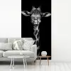 Giraffe - Portret - Dieren - Zwart - Wit fotobehang vinyl groot -woonkamer