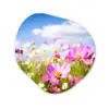 Bloemen - Wei - Paars - Gras - Wit - Wolken - Blauw Wandcirkel Organisch Forex 3mm klein -3d
