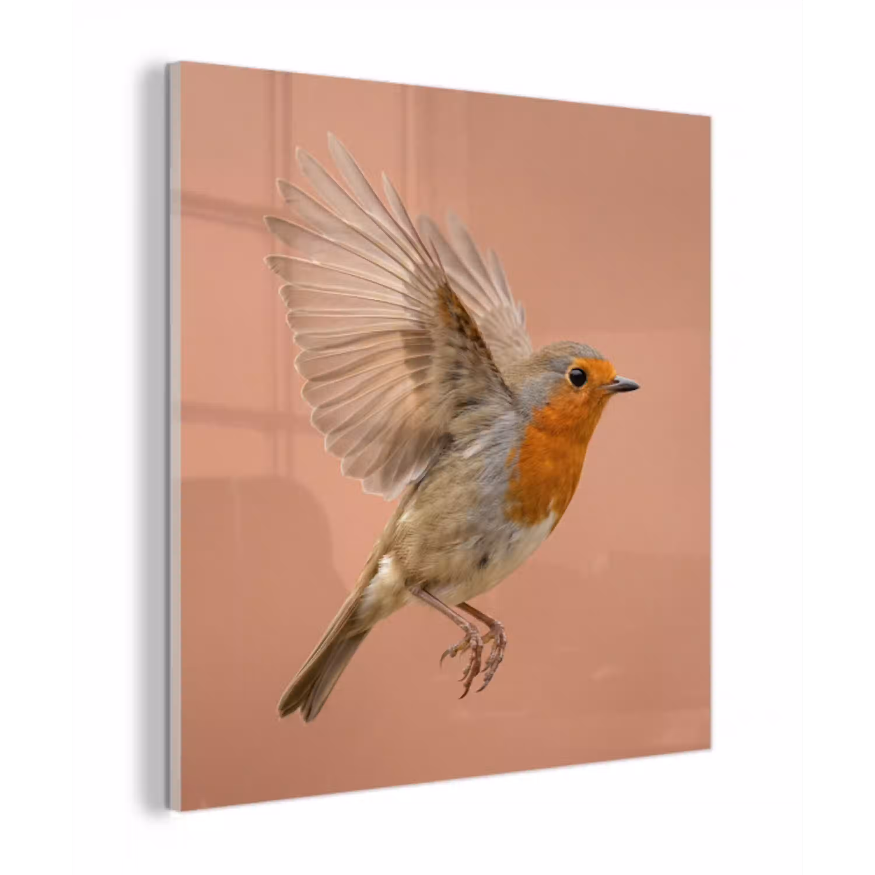 Roodborst - Natuur - Roze plexiglas 5mm klein -z3d