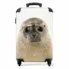 Zyon Zeehond Koffer - NBS - Handbagage middel -productfoto_recht