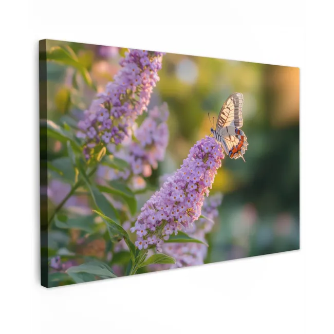 Buiten canvas - Sierlijke - Vlinder - Paarse - Bloemen