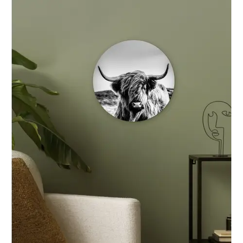 Koe - Schotse hooglander - Zwart - Wit - Dier - Natuur - Wild Wandcirkel kunststof plaat 5mm dik klein -sfeer3