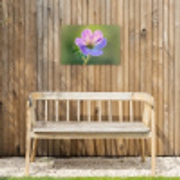 Bloem - Close up - Paars Tuinposter op houten frame 2 cm dik klein -sfeer4