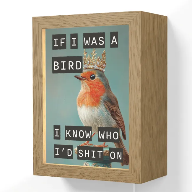 Lightbox - Wandlamp - Roodborstje - Vogel - Blauw - Decoratie