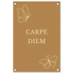 Carpe Diem met Vlinder tuinposter los doek klein -3d