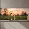Paardenbloem - Zonsondergang - Veld keuken achterwand 2 middel zz_3dshopping
