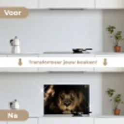 Leeuw - Dieren - Zwart - Portret keuken achterwand spatscherm klein -voor_na_NL