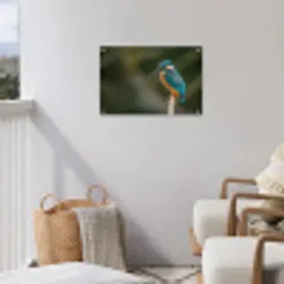 Vogel - IJsvogel - Tak tuinposter los doek klein -sfeer8