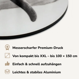 Alleinstellungsmerkmale des ovalen Alu-Dibond-Drucks – Testbericht