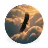 Adelaar - Wolken - Zon Wandcirkel aluminium klein -3d