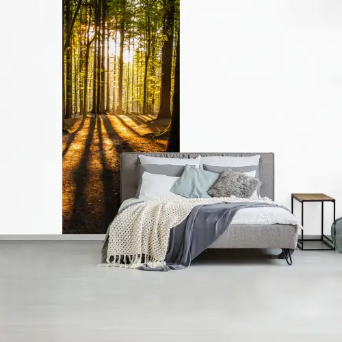 Zon - Bomen - Bos - Landschap fotobehang vinyl groot -slaapkamer