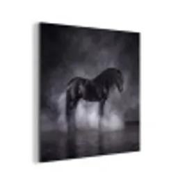 Paard - Magisch - Zwart aluminium wit klein -3d