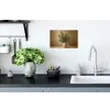 Vaas - Olijftakken - Bladeren - Beige Muursticker klein -keuken