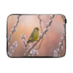 Groenling - Katjes - Lente - Natuur - Zacht laptophoes neopreen klein -3d