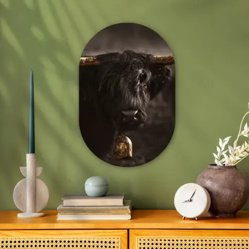 Schotse hooglander - Goud - Koebel - Hoorns - Dieren Wandcirkel Ovaal Forex klein -sfeer2