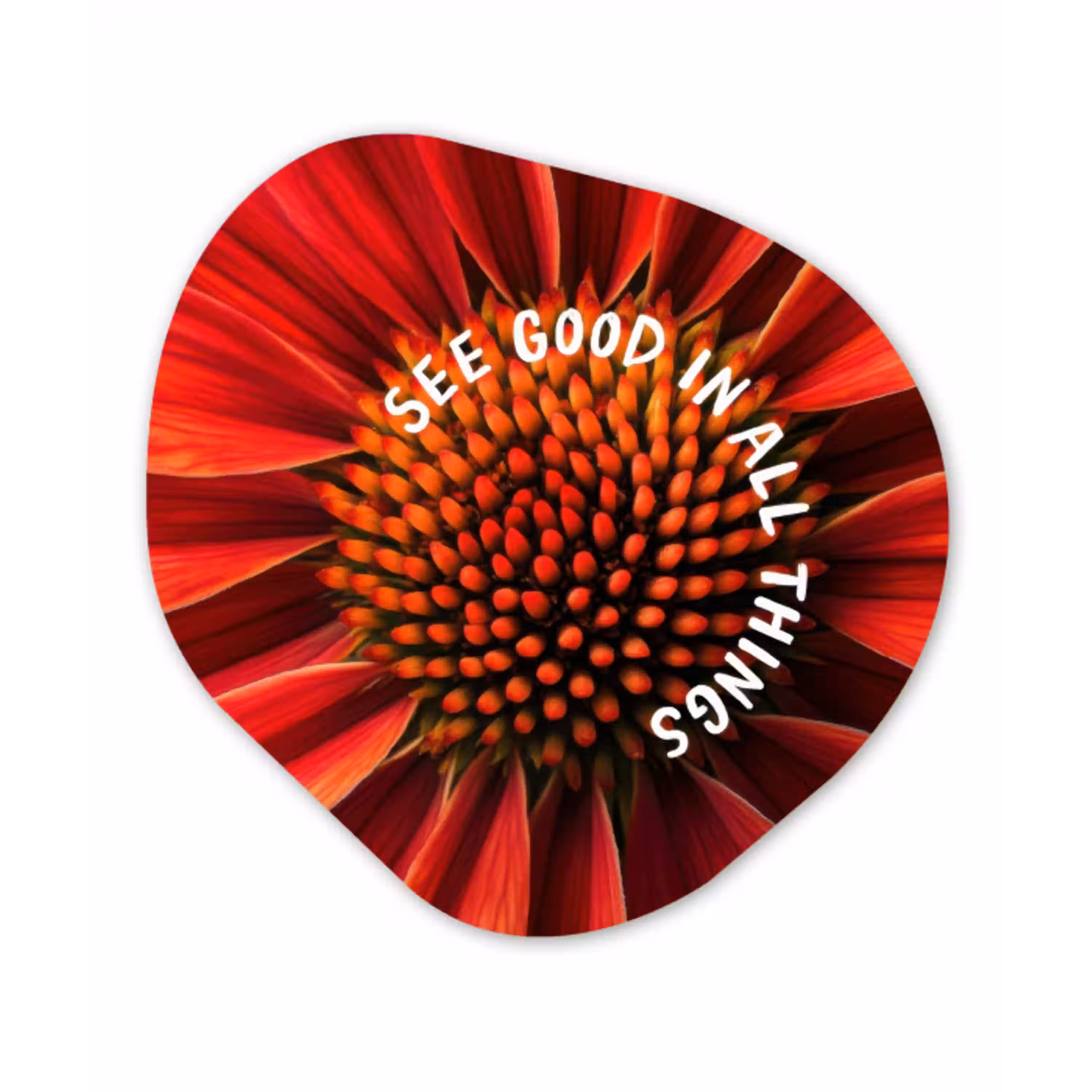 Close up - Bloem - Quote - Rood Wandcirkel Organisch Plexiglas middel -3d