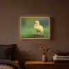 Kuiken - Eend - Geel - Gras Light Box met batterij (Wandlamp) middel -sfeer4