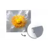 Wit - Bloem - Elegant fotobehang vinyl groot -3d