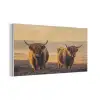 Schotse hooglanders - Heide - Landschap - Dieren PET vilt middel -3d