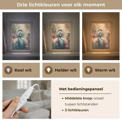 Pauw - Vogel - Bloemen - Planten - Pauwenveren Light Box met kabel (Tafellamp) klein -USP_lichtkleurNL