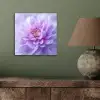Paars - Dahlia - Dromerig aluminium wit klein -sfeer2