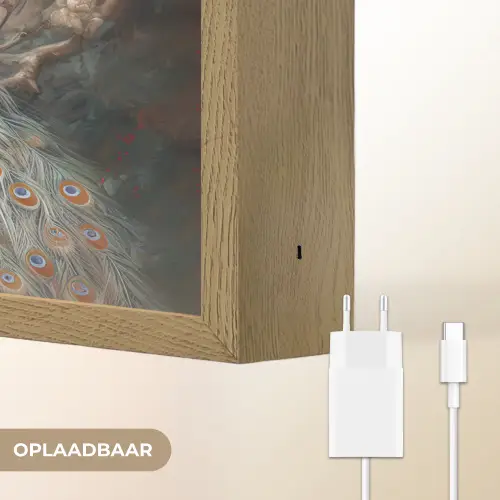 Pauw - Pauwenveren - Vogel - Jungle - Bloemen Light Box met batterij (Wandlamp) middel -USP_websiteoplaadbaarNL