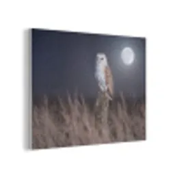 Kerkuil - Maan - Nacht PET vilt klein -3d