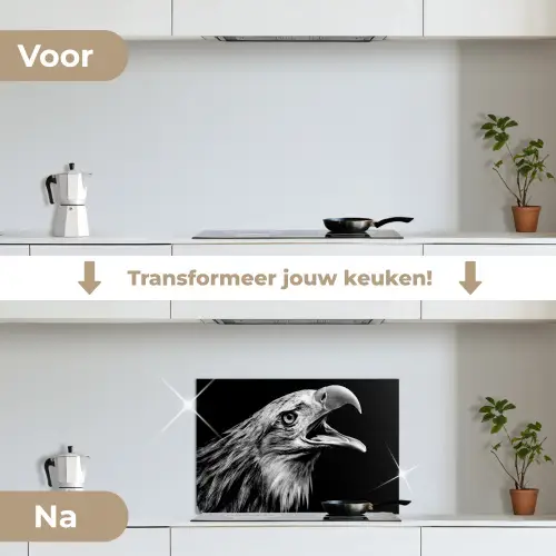 Adelaar - Portret - Roofvogels - Zwart - Wit - Vogel keuken achterwand spatscherm klein -voor_na_NL