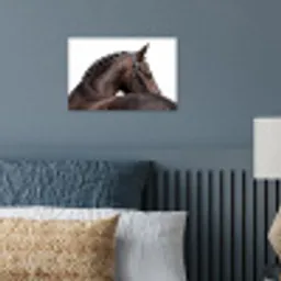 Portret - Paard - Elegant poster papier klein -sfeer2