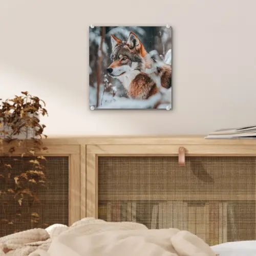 Wolf - Sneeuw - Winter - Dieren - Natuur - Sneeuw plexiglas 5mm klein -sfeer4