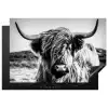 Schotse hooglander - Natuur - Koe - Zwart - Wit Inductie beschermer vinyl 3mm klein -3d