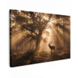 Hert - Bos - Mistig - Natuur - Goud canvas 2cm klein -z3d