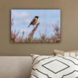 Roodborsttapuit - Heide - Paars - Natuur - Sfeervol canvas 2cm klein -sfeer3