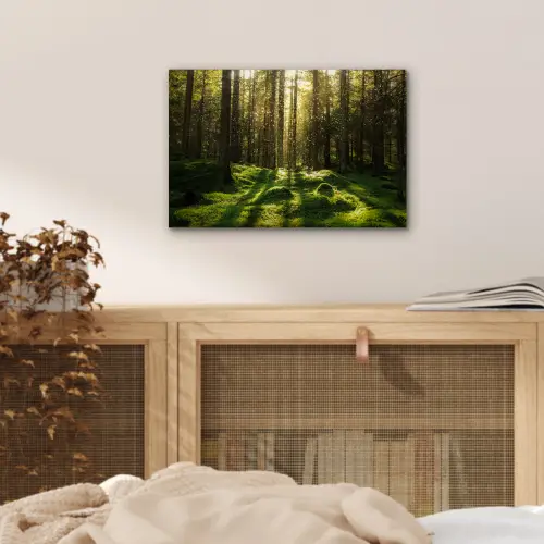 Bomen - Bos - Mos - Planten - Zon - Natuur aluminium wit klein -sfeer3