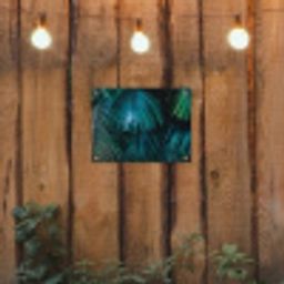 Palmblad - Tropisch - Natuur - Jungle tuinposter los doek klein -sfeer1