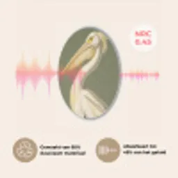 Pelikaan - Wit - Vogel - Klassiek - Natuur Akoestische PET Vilt - Rond klein -USP_NL