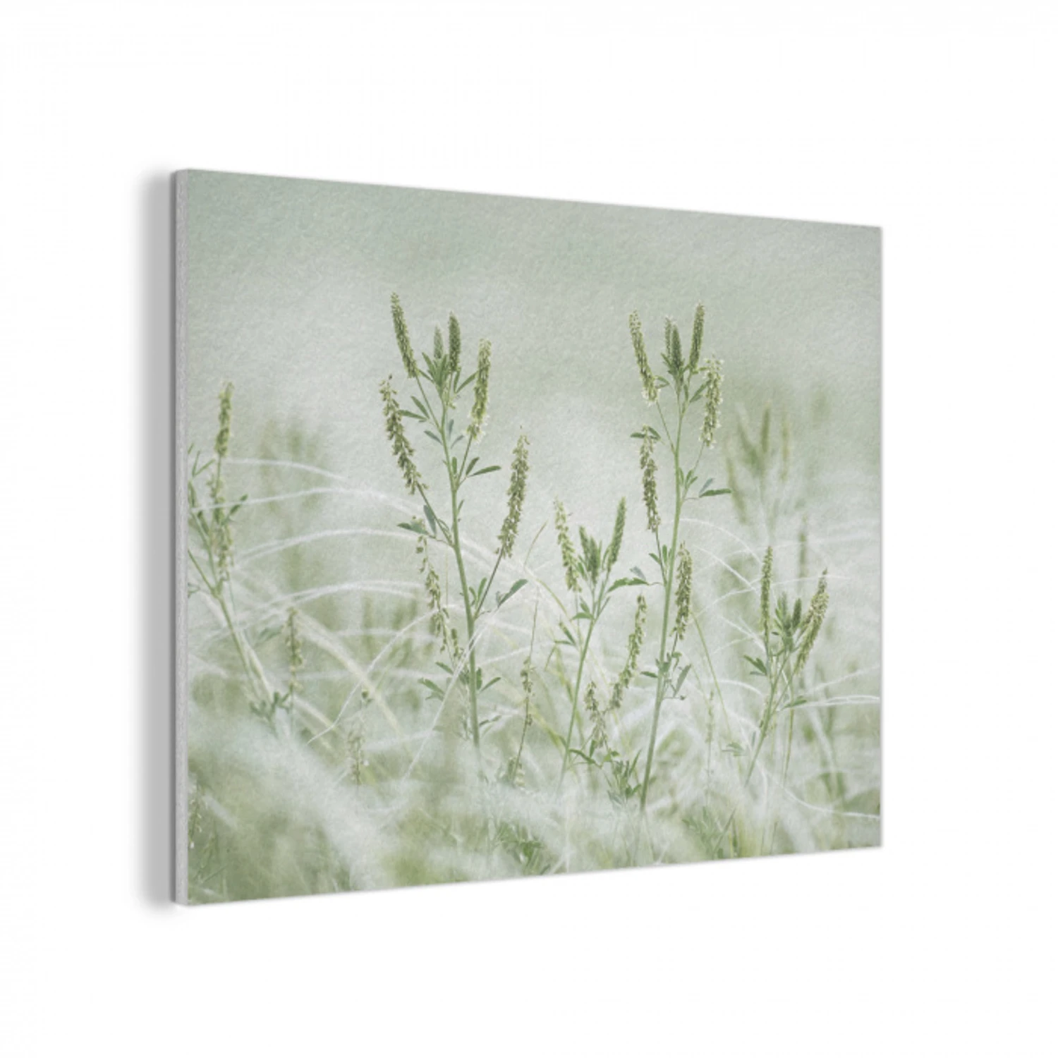 Grassen - Minimalistisch - Groen PET vilt klein -3d