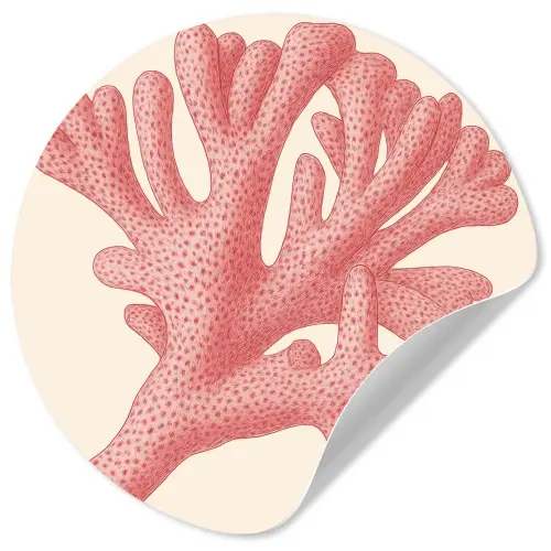 Koraal - Stipjes - Roze Wandcirkel behangsticker klein -3d