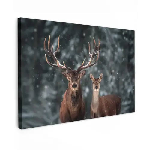 Hert - Dieren - Winter - Gewei - Sneeuw - Natuur canvas 2cm klein -z3d