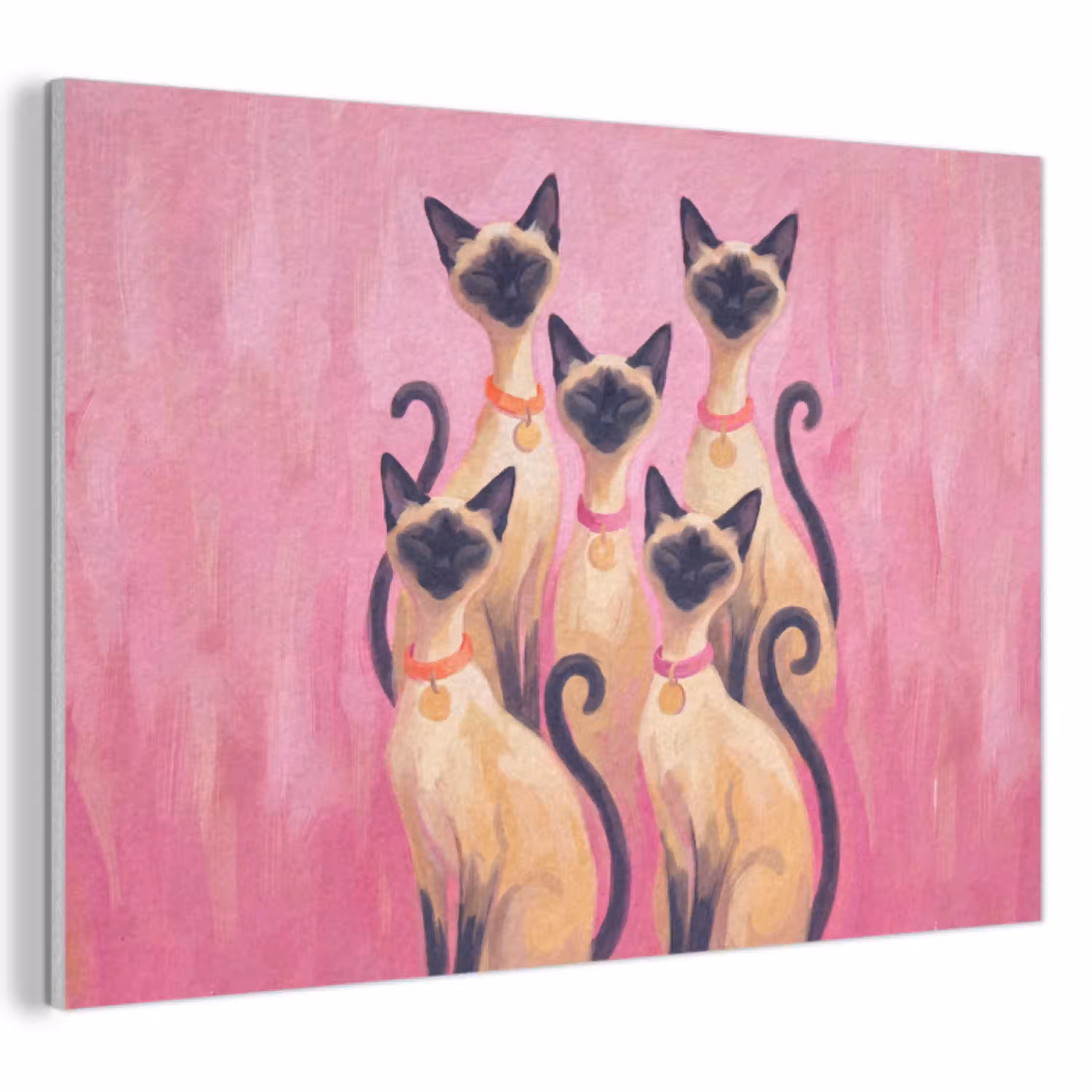Kat - Groep - Dieren - Modern - Roze PET vilt klein -3d