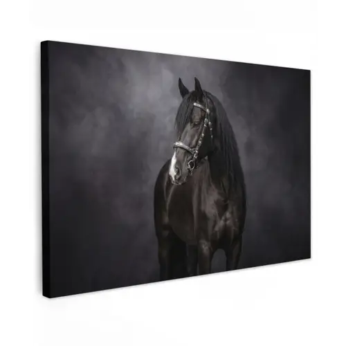 Portret - Paard - Zwart canvas 2cm klein -z3d